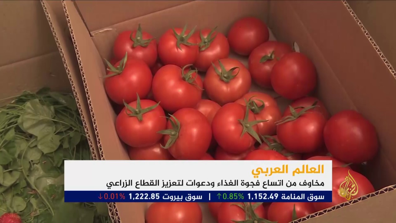 مخاوف من اتساع فجوة الغذاء في العالم العربي