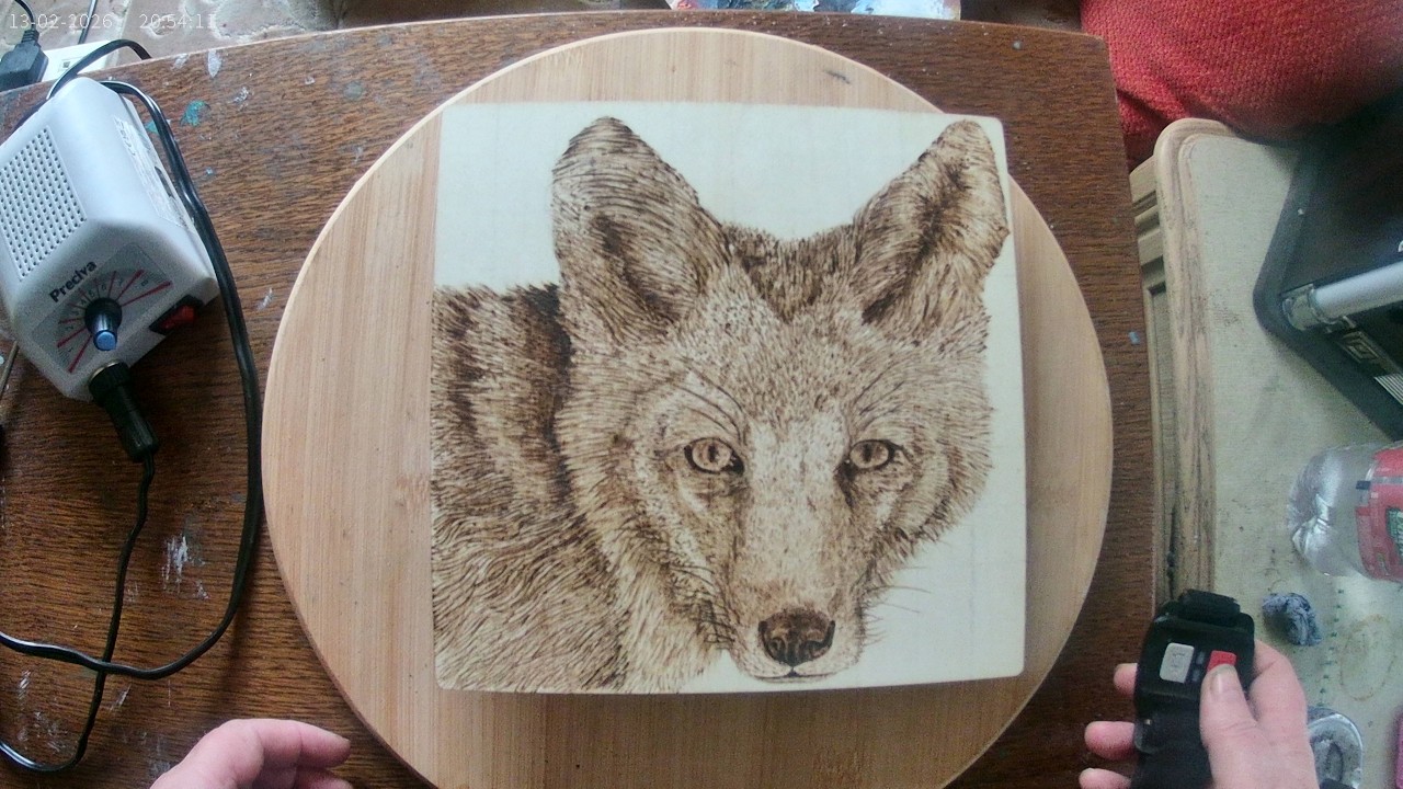 Pyrography Fox - From Sketch To Completion
