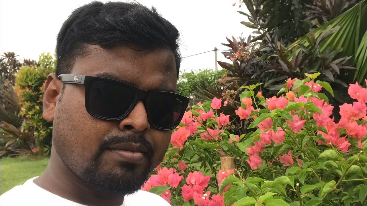 Beautiful village Home garden🪴🌹#garden #flowers #nature #mygarden #youtube ​⁠​⁠@farmya #plants