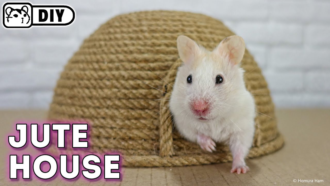 Как Сделать ДОМ для ХОМЯКА из ДЖУТОВОЙ ВЕРЁВКИ 🐾 Своими Руками DIY Сирийский ХОМЯК
