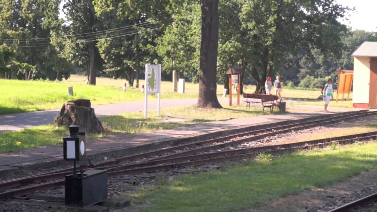 Mit 99 3462 von Wei&szlig;wasser nach Kromlau und mehr
