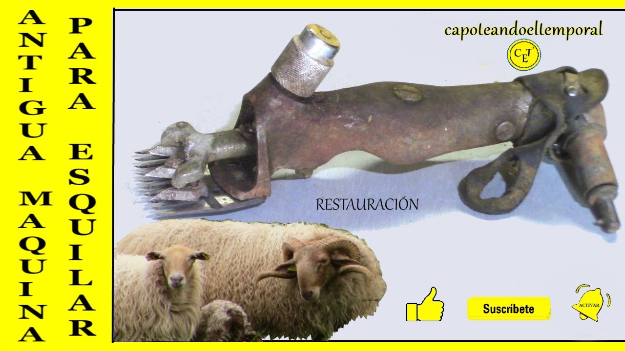 MAQUINA DE ESQUILAR ANTIGUA (restauración)