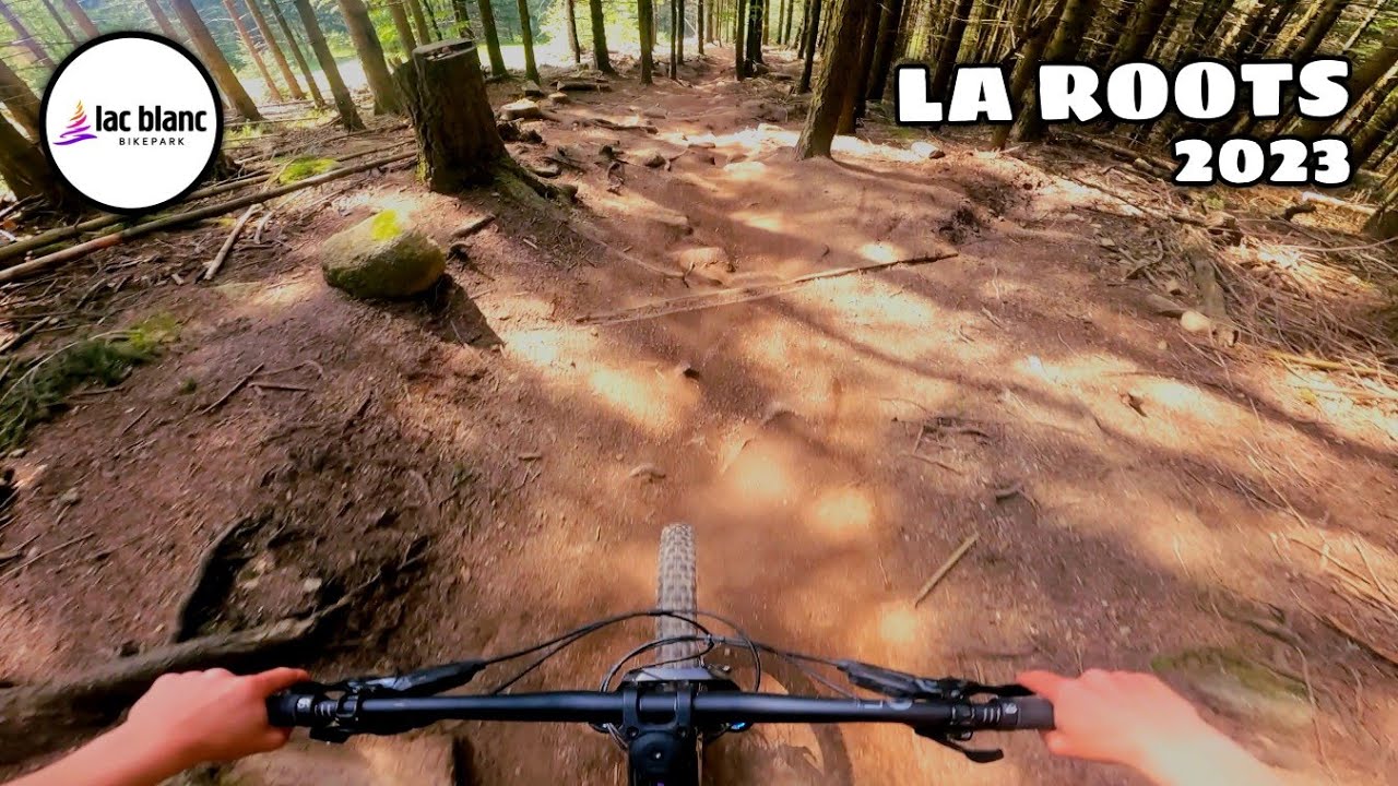 Piste Rouge : LA ROOTS - LAC BLANC BIKEPARK 2023 (RAW)