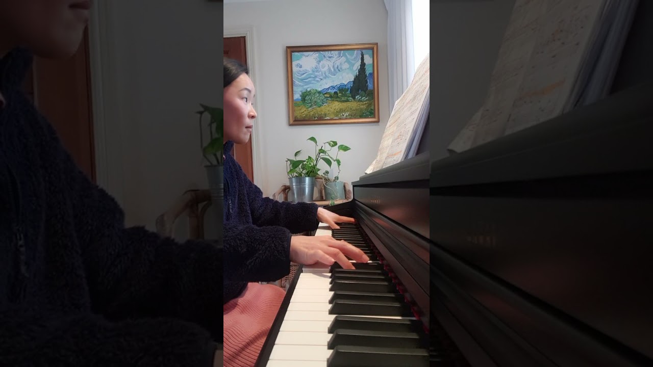 Moonlight Sonata 1st movement _ Ludwig van Beethoven