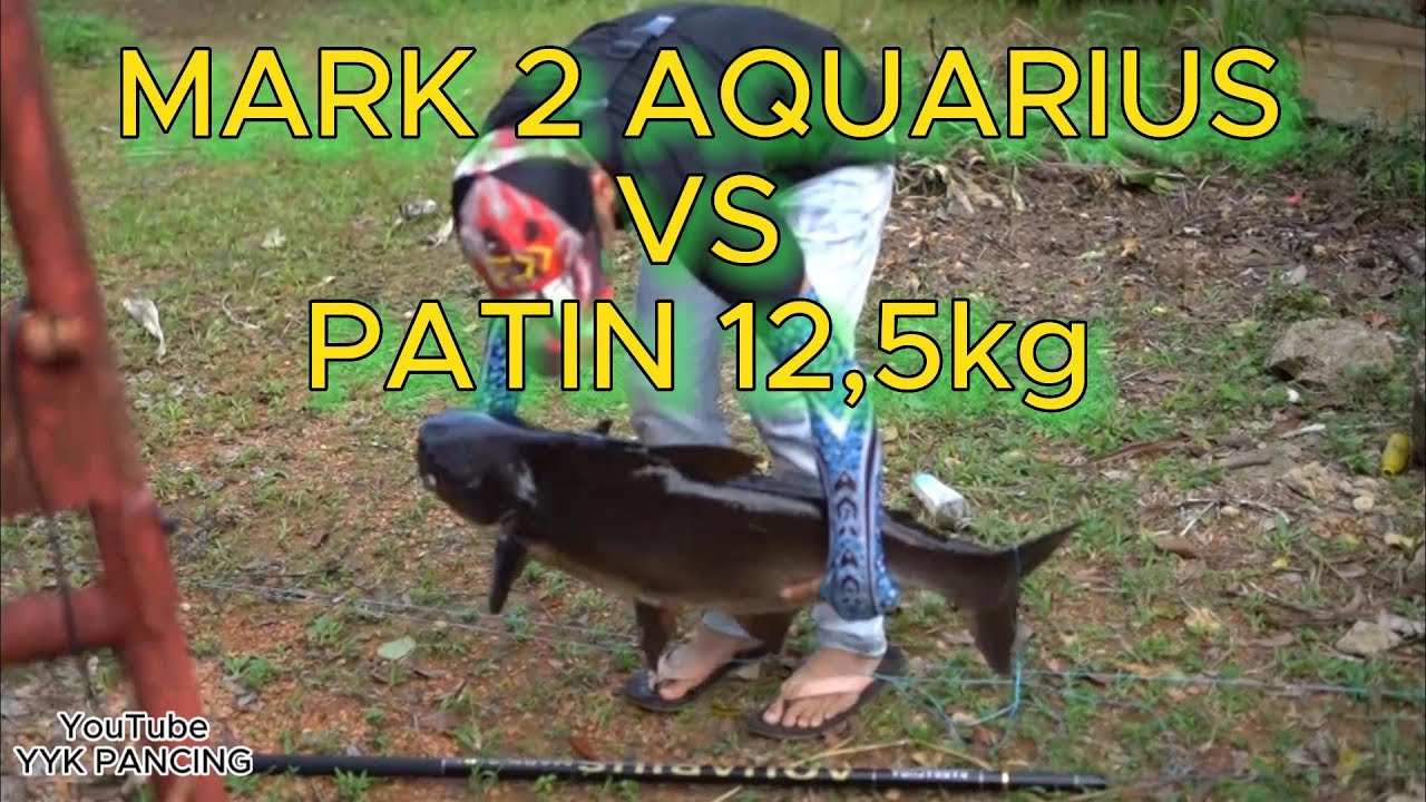 MARK 2 JORAN TEGEK BARRACUDA AQUARIUS
