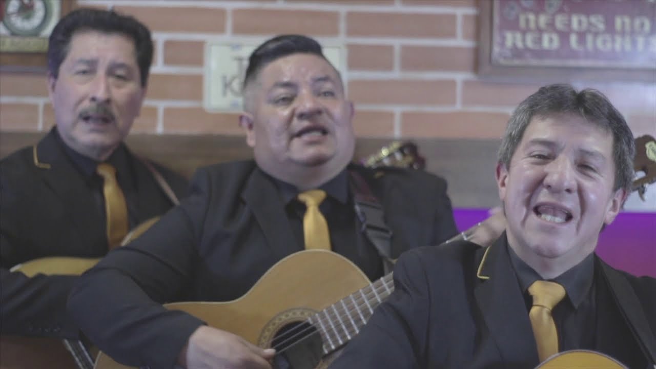 Trío Los Antares - Es mi vida
