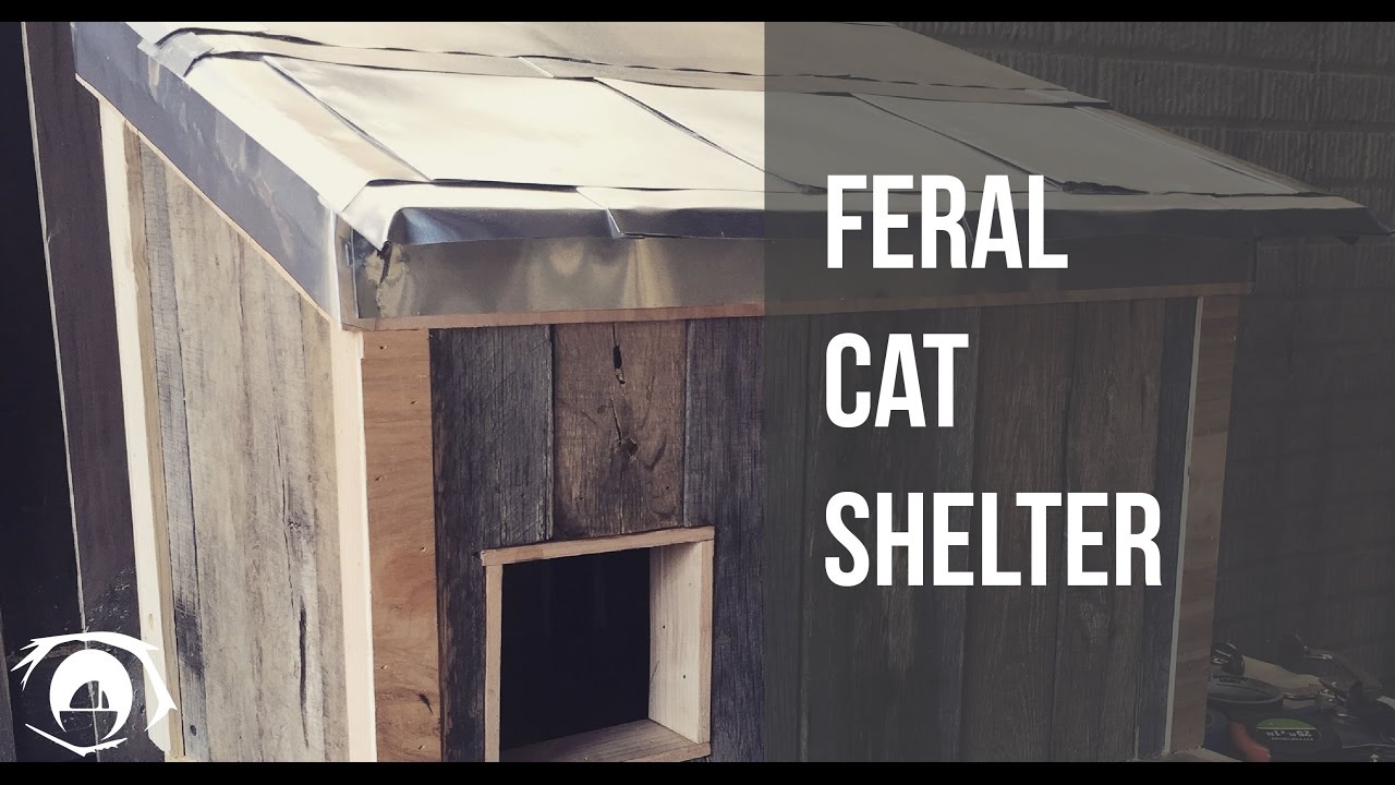 Feral Cat Shelter