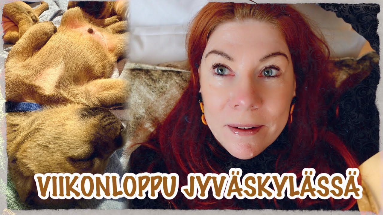 Koiranpentuja & Tori.fi -ostos…🐶🛍️