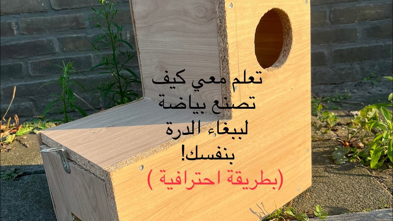 خطوة بخطوة صنع بياضة ببغاء الدرة الهندي/مقاسات و حجم البياضة/ كريم احمد لتربية الببغاءات الذكية