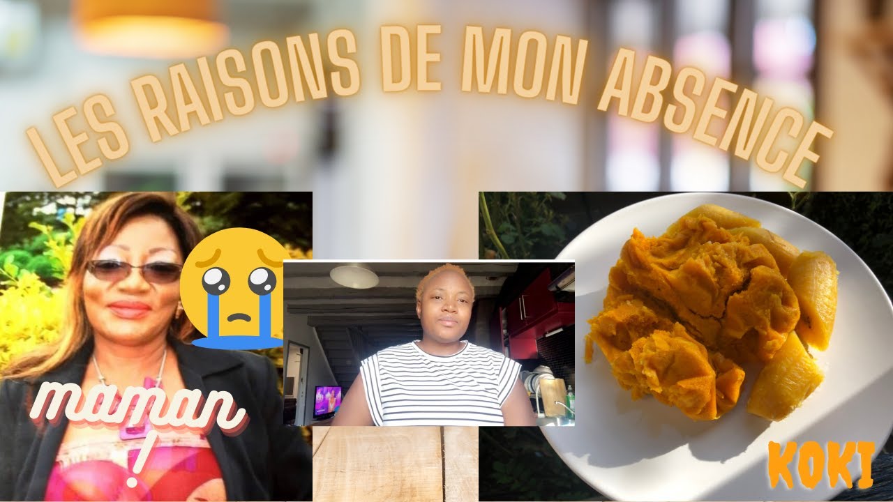 LES RAISONS DE MON ABSENCE, COMMENT JE CUISINE LE KOKI