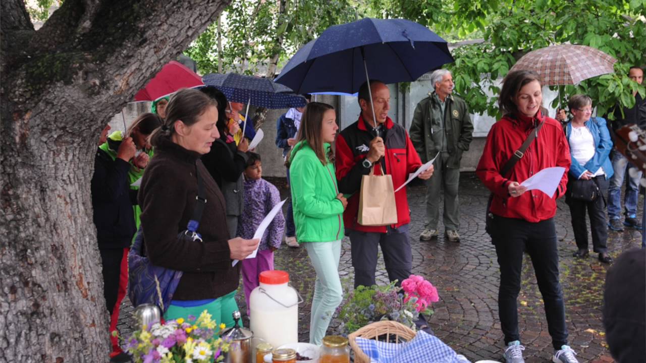 Auf dem Weg zur Volksabstimmung (Das Wunder von Mals - Teil 4)