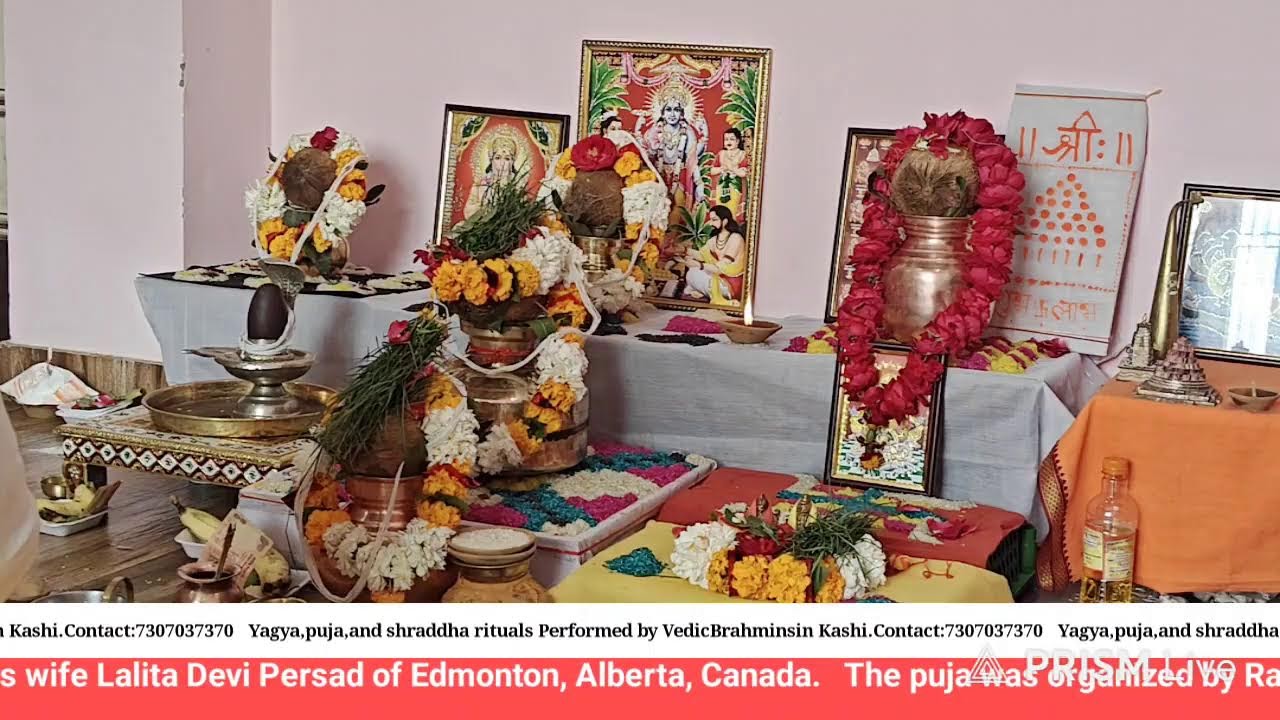 Shiv shakti mahayagya puja 1st day #onlinepujaservices #shivshktimahayagya #livestreaming  #canada