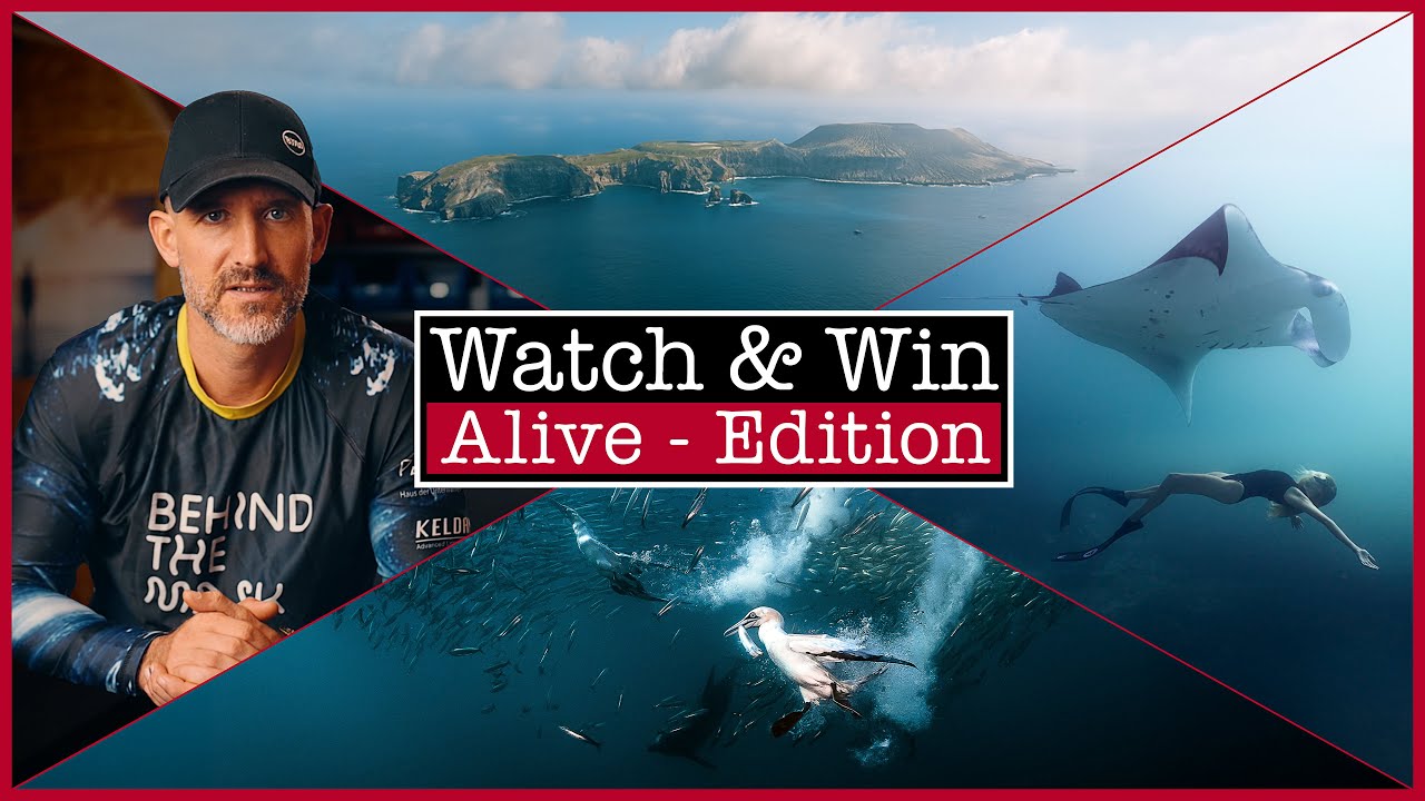 Watch & Win - Alive Edition (Win 1 of 3 Signature BTM Dive Experiences)