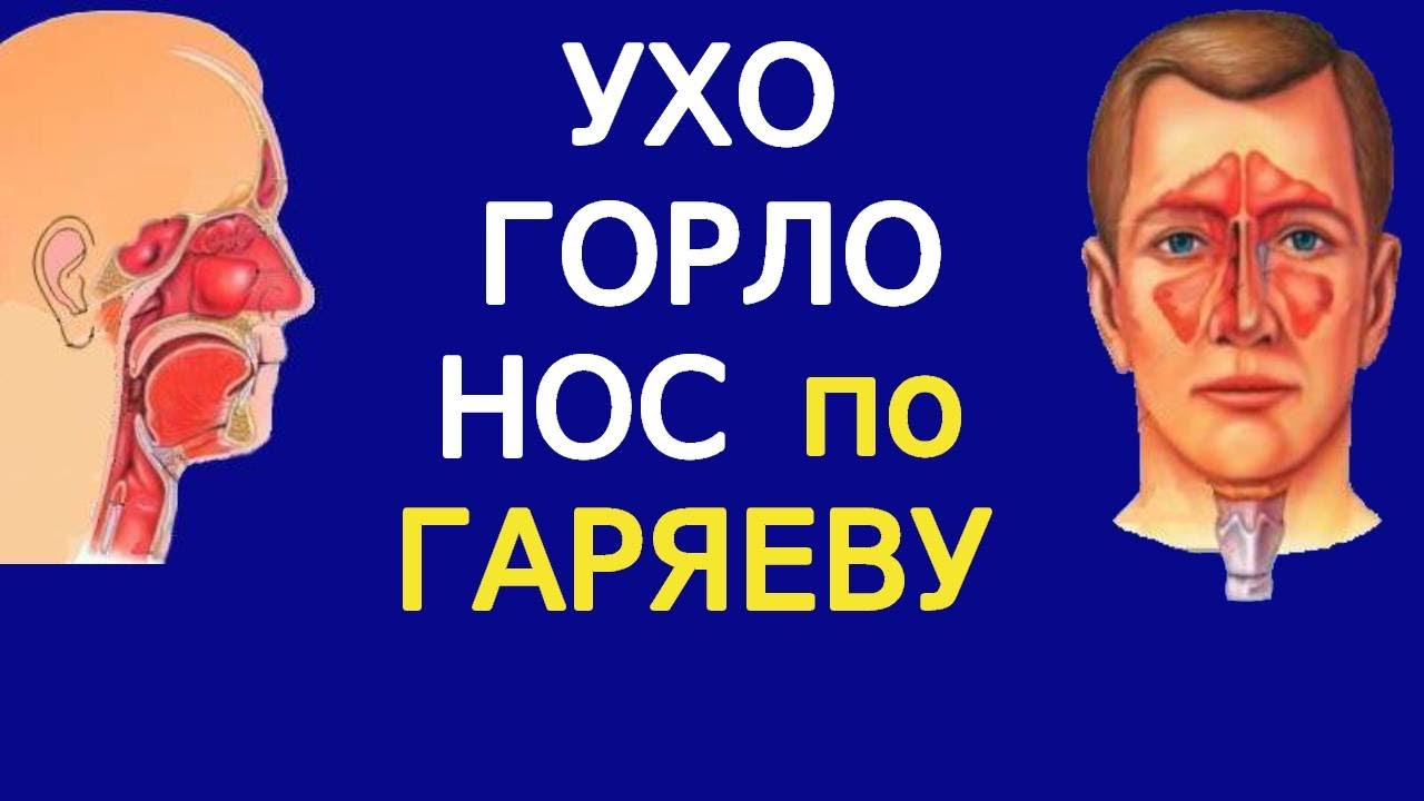 Ухо горло нос по Гаряеву