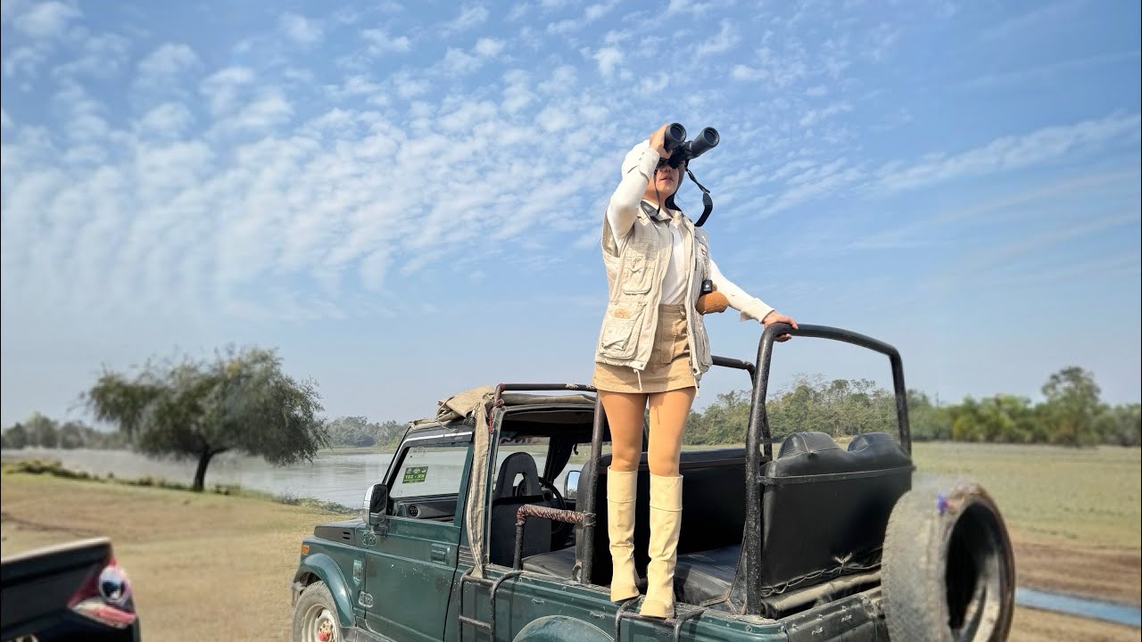 Into the Wild: Kaziranga National Park Safari Experience 