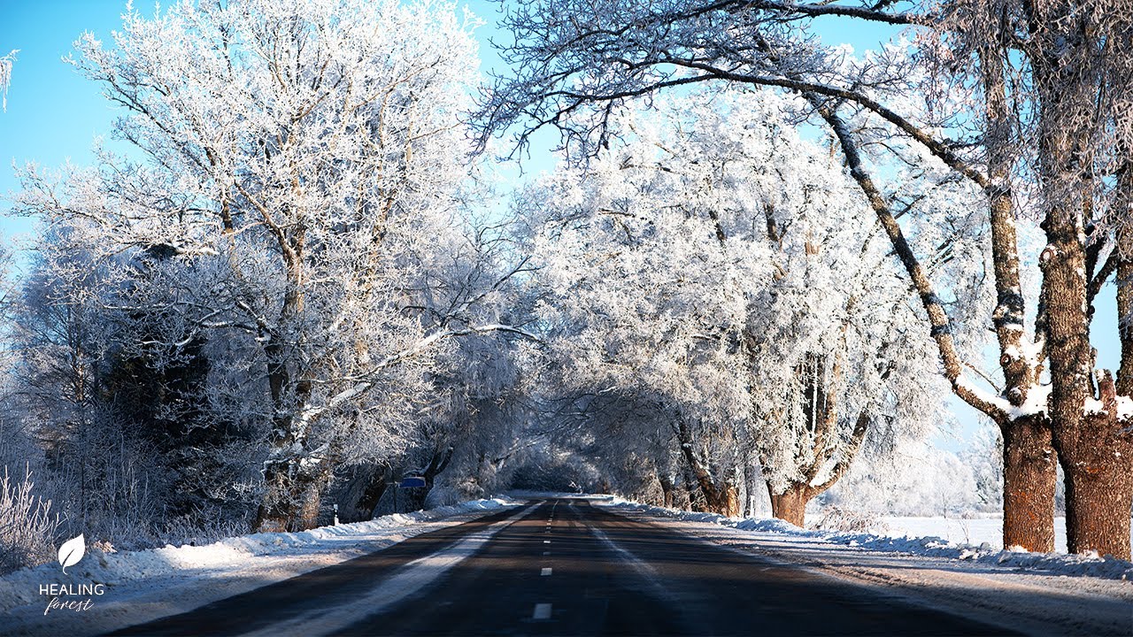 Beautiful Winter Music 2026 ❄️ Calming Music for Stress Reduction and Deep Sleep Therapy | 4K