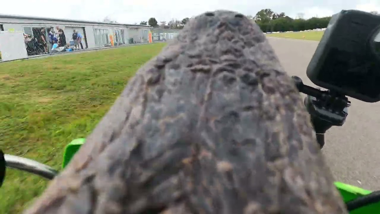 Session 4 @t4kartplex 01/11/26 Alligator Z