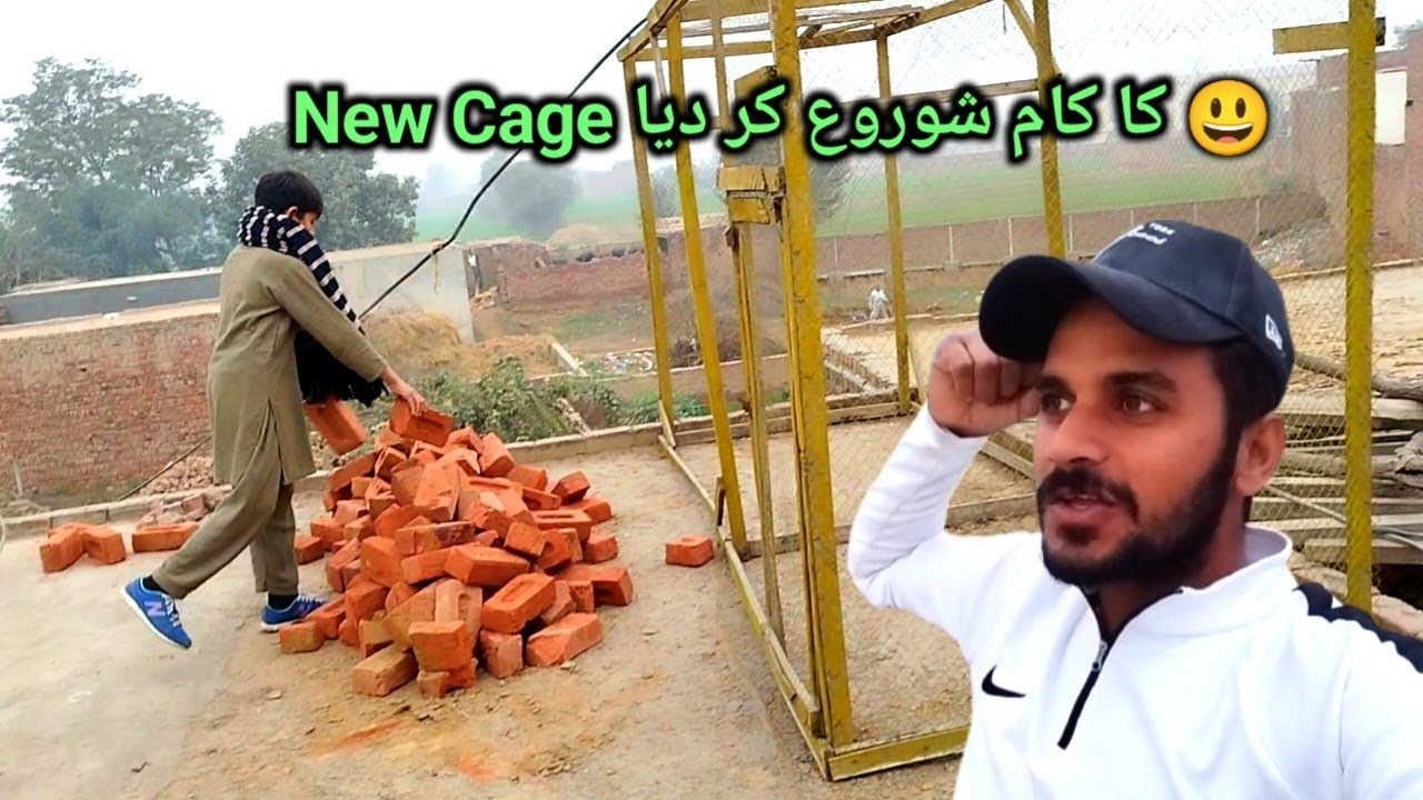 Master Saab Ke New Cage Ka Kam Shorow Ker Dia😃
