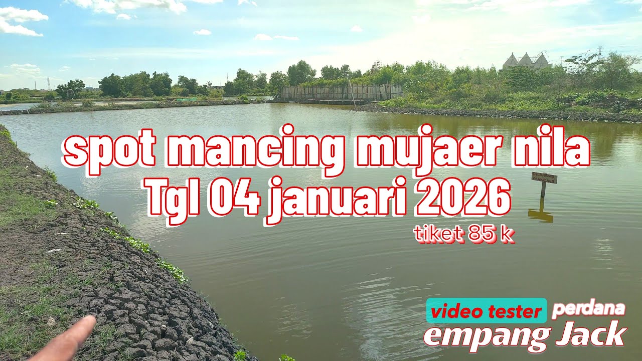 SPOT MANCING MUJAER NILA EMPANG JACK TGL 04.01.26 - 85k