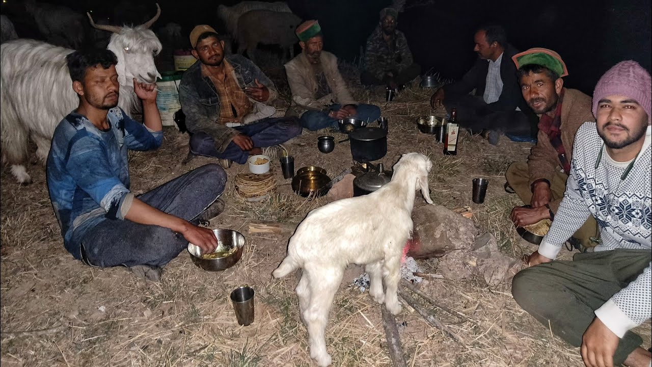 Alcohol party with mutton in the jungle 🍖