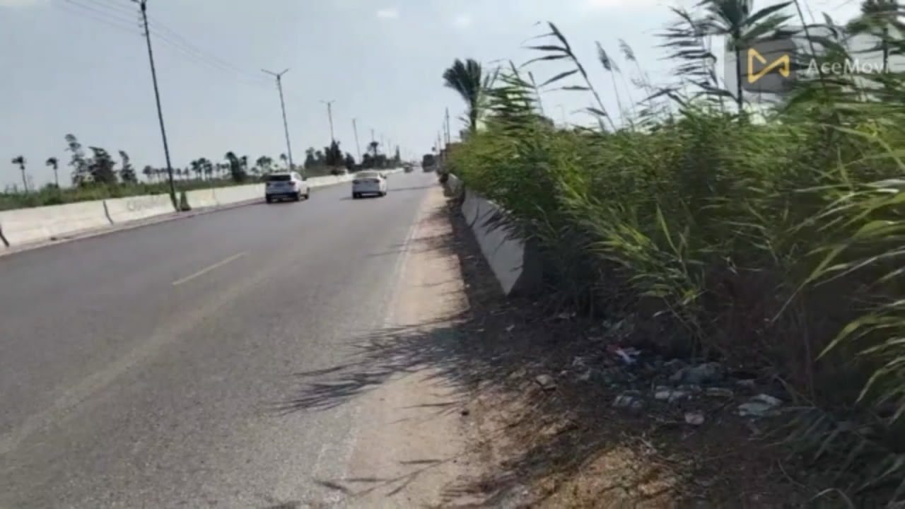 93 قيراط بحاري على طريق جمصة السريع مباشر