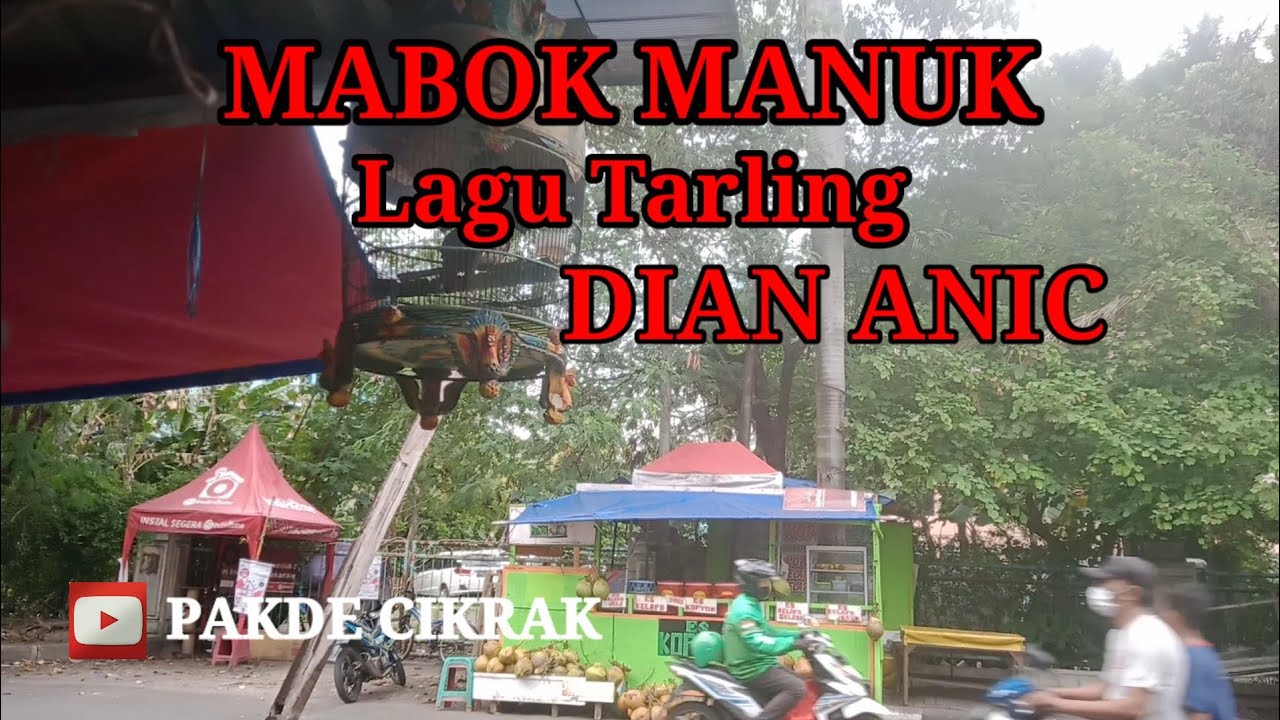 Mabok manuk - Dian anic (tarling Cirebonan)