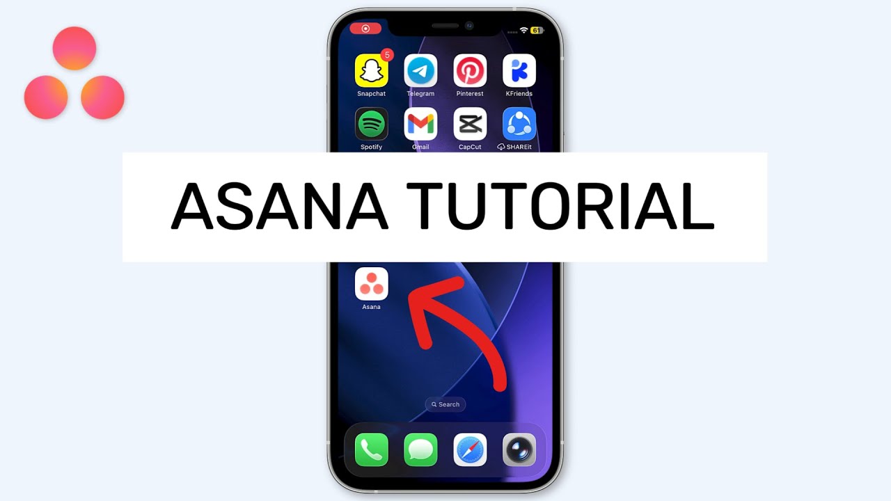 Asana Tutorial &bull; How To Use Asana Mobile App 📲