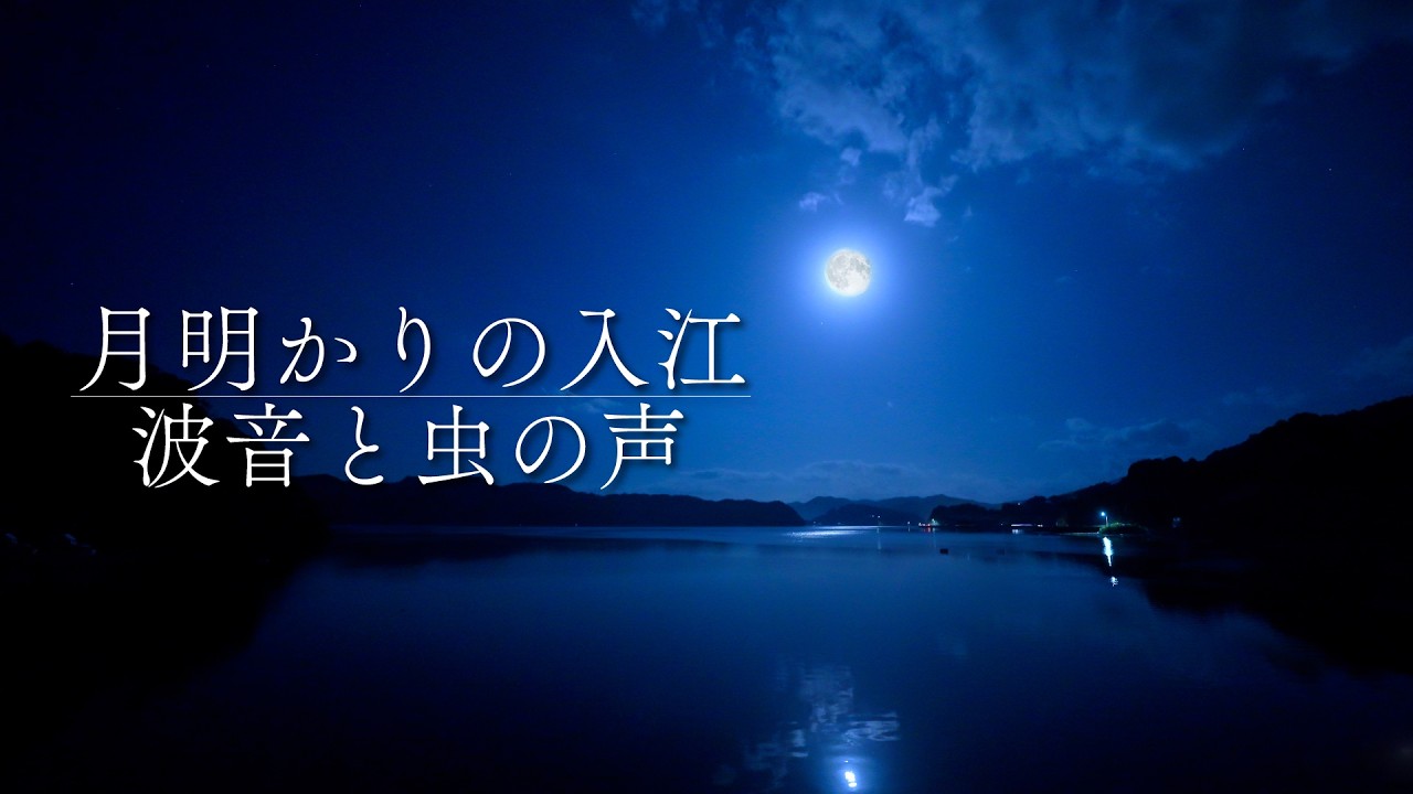 【作業・睡眠用BGM】高知県 夜の海と秋の虫の音｜月明かりの入江 環境音