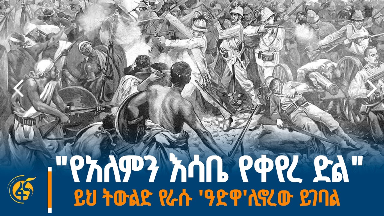 በአዲስ አበባ ዩኒቨርሲቲ የአፍሪካ ጉዳዮች ተመራማሪ ጳውሎስ አዕምሮ (ዶ/ር)  ጋር የተደረገ ቆይታ