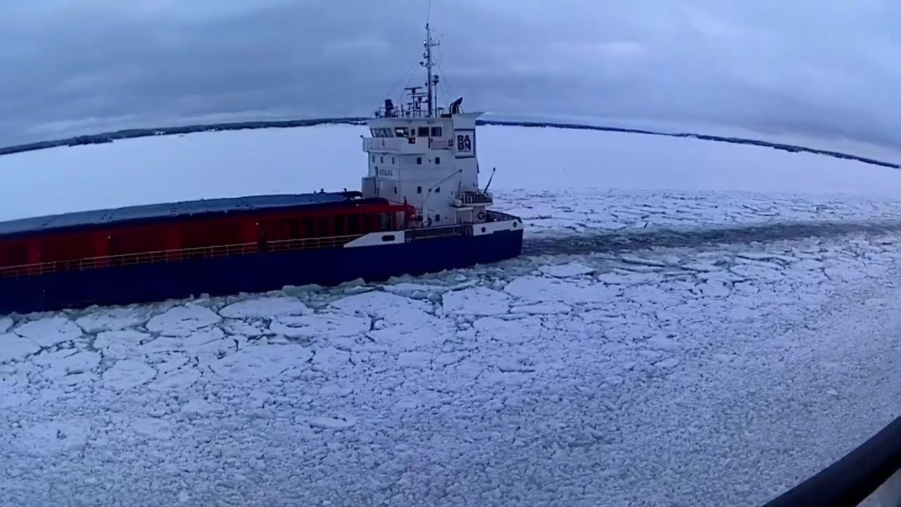 VIKING GLORYN KANSI  22.02.2026 KLO 09:40.------