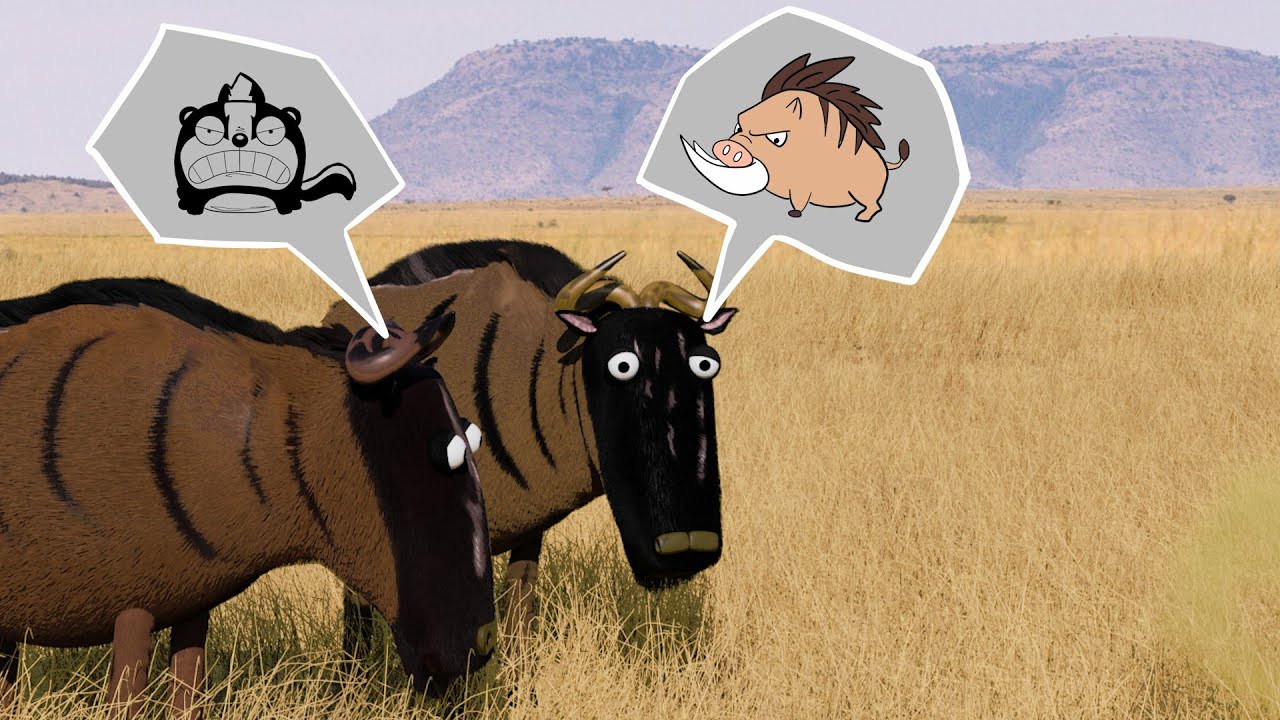 Savanna version - Farting wild boar
