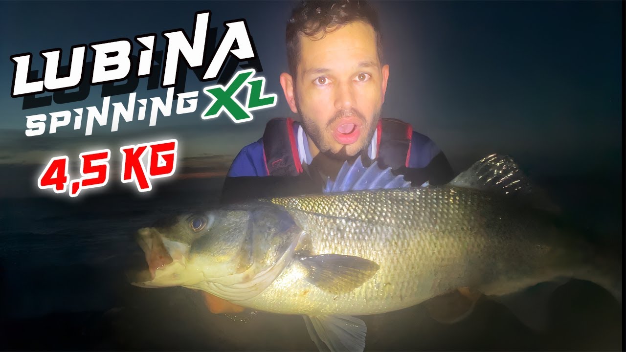 Ataque BRUTAL de un ROBALO XL 🧨 con OLEAJE de 1,5 metros 🌊💥 {GALICIA || PESCA SPINNING desde COSTA}
