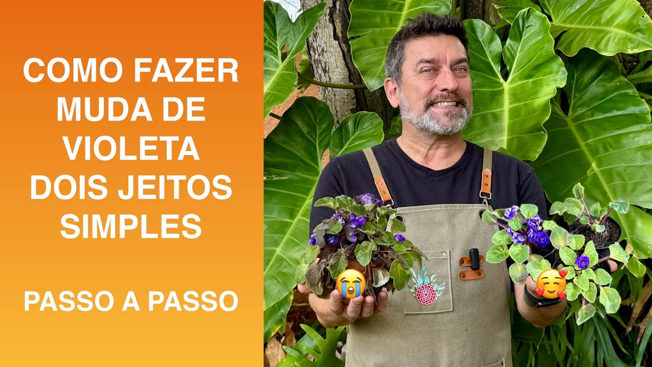 Como Fazer MUDA DE VIOLETA: Dois Jeitos Simples Passo a Passo
