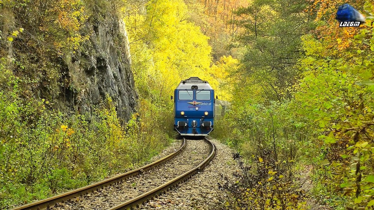 Trenurile Toamnei in Muntii Apuseni - Autumn Trains in Apuseni Mountains - 07 November 2014