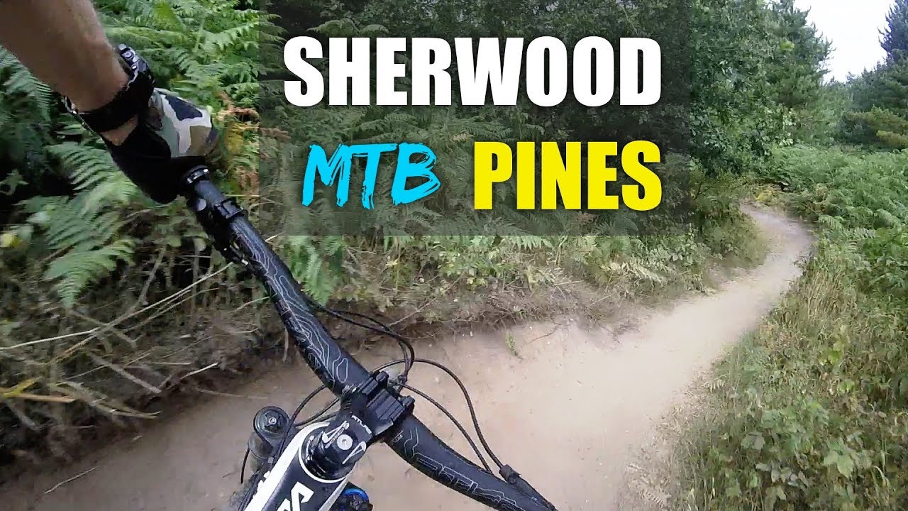 Sherwood Pines MTB | Kitchener Red Route 2018