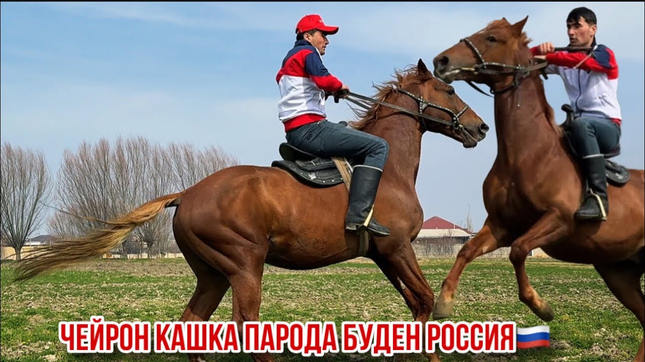 Аспи фуруши Спитомен парода Будён 10 марта 2026 г.