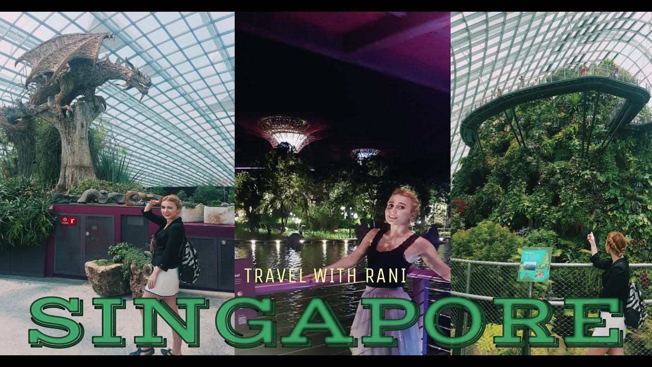 Singapur Part 1: Gardens by the Bay  | Stadtf&uuml;hrer | Alles, was Du wissen musst