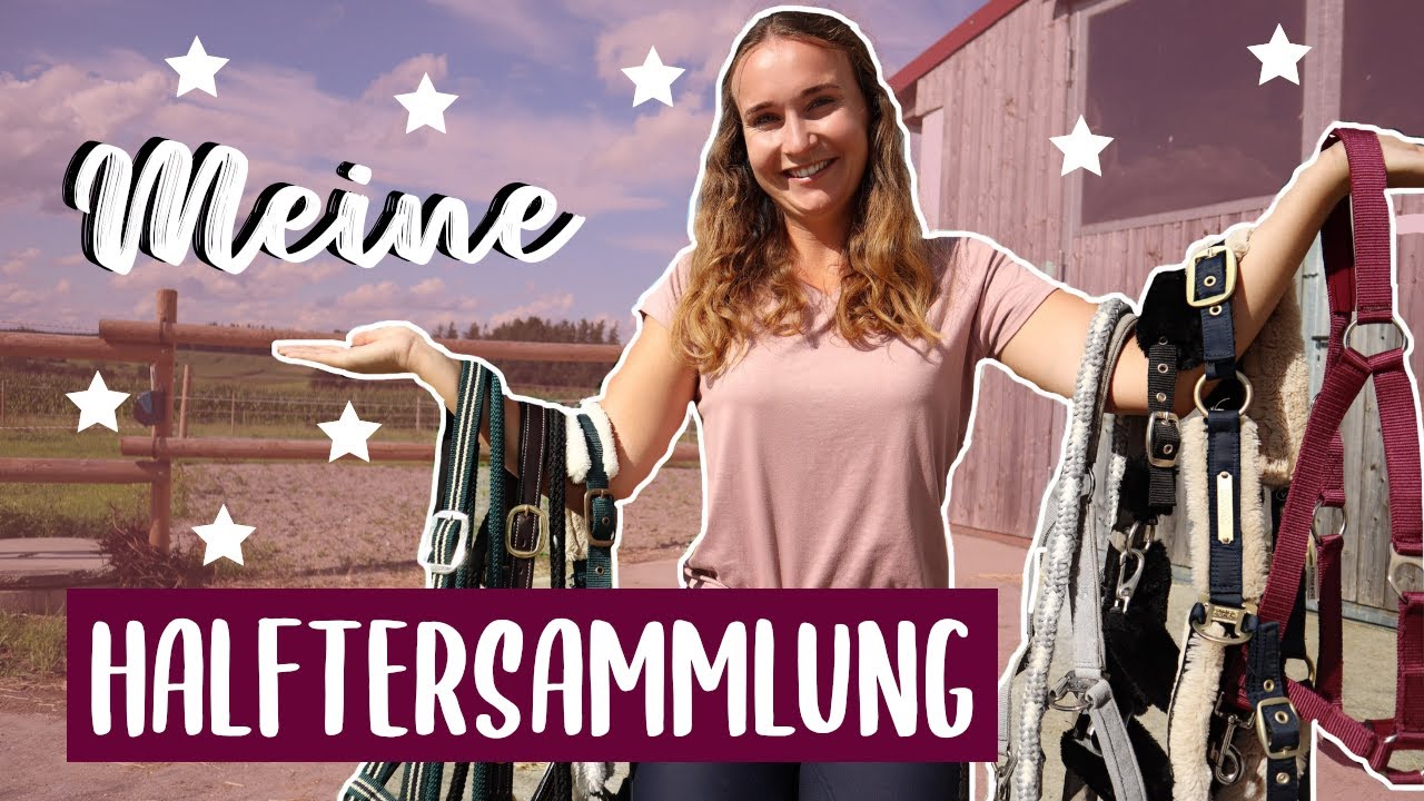 Vici‘s Halftersammlung + Trensen!