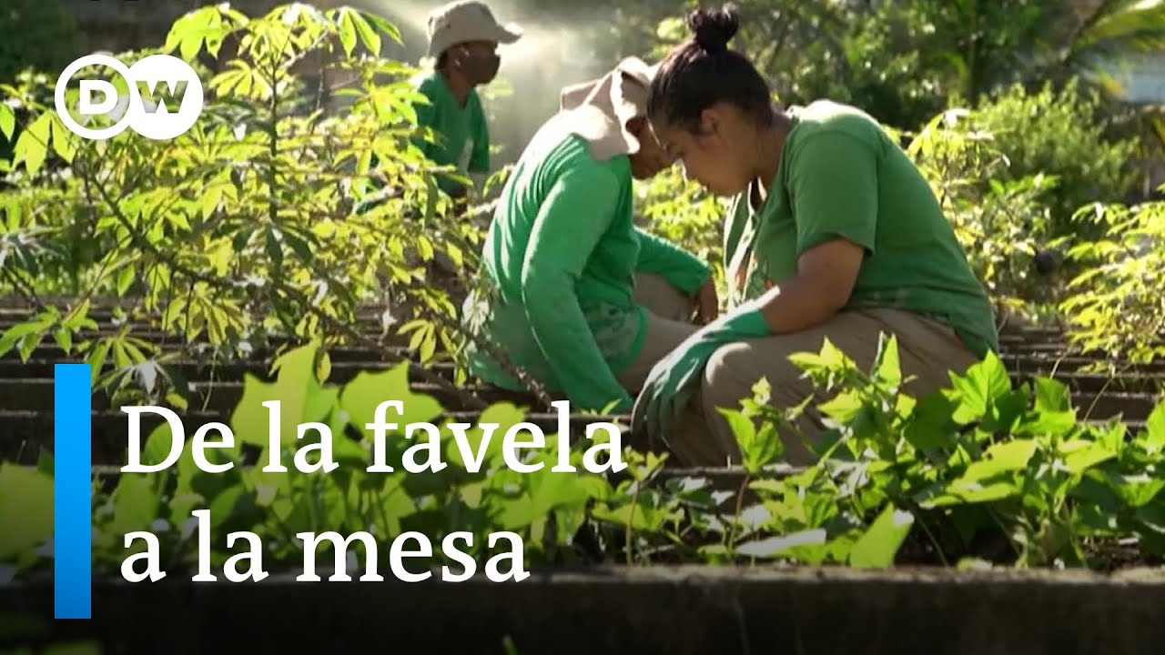 El mayor huerto comunitario de América Latina | Global 3000