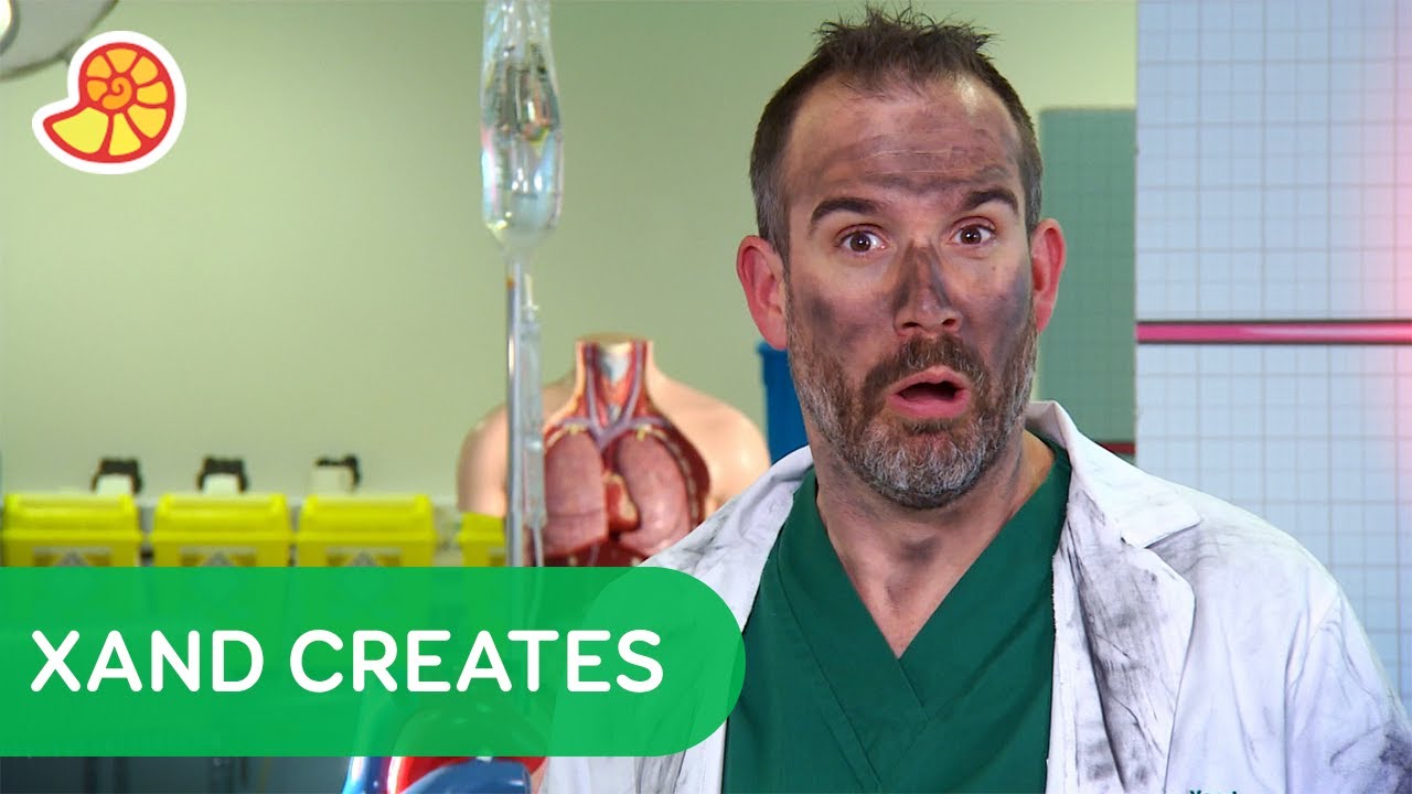 Making a Human 👐 | Operation Ouch!