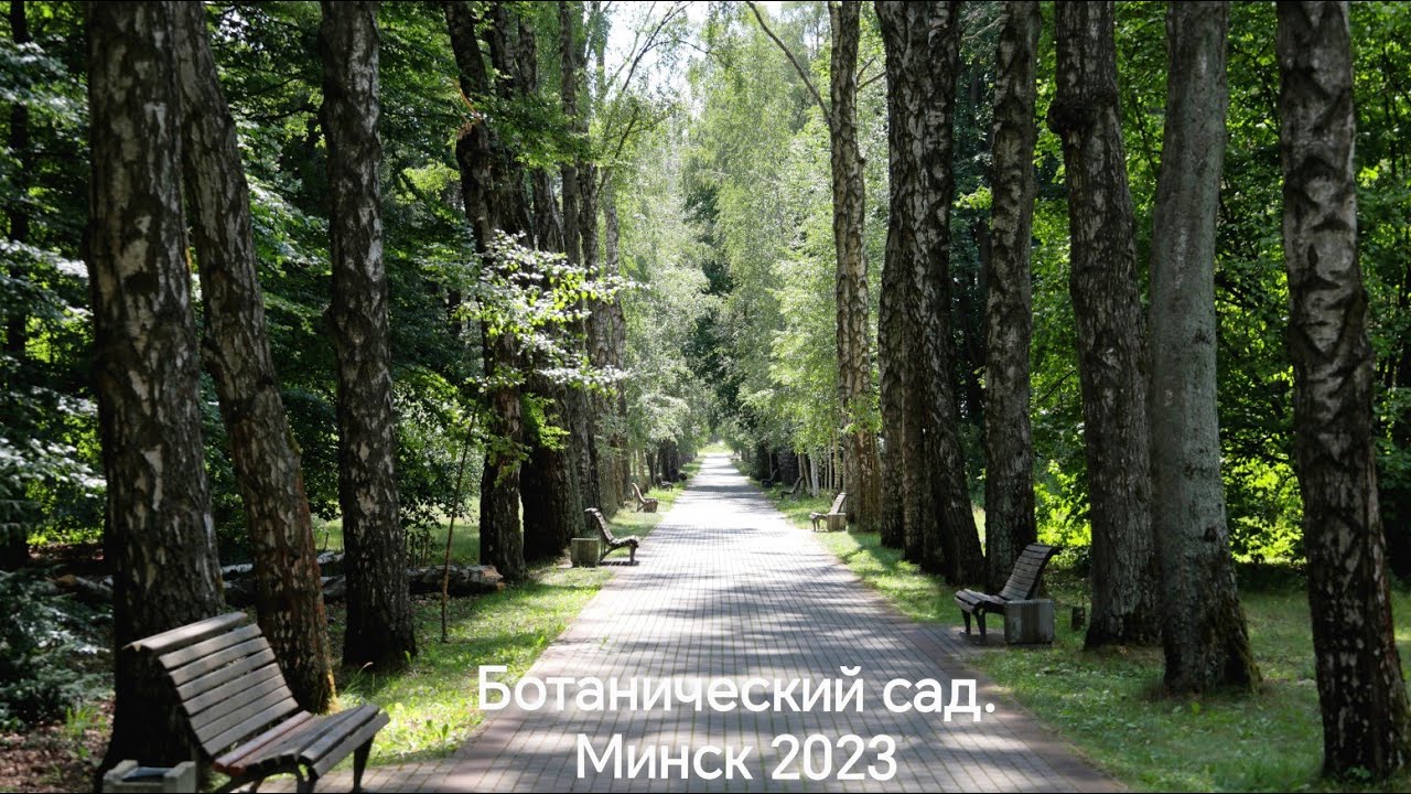 Ботанический Сад Минска 2023. Пешие прогулки.