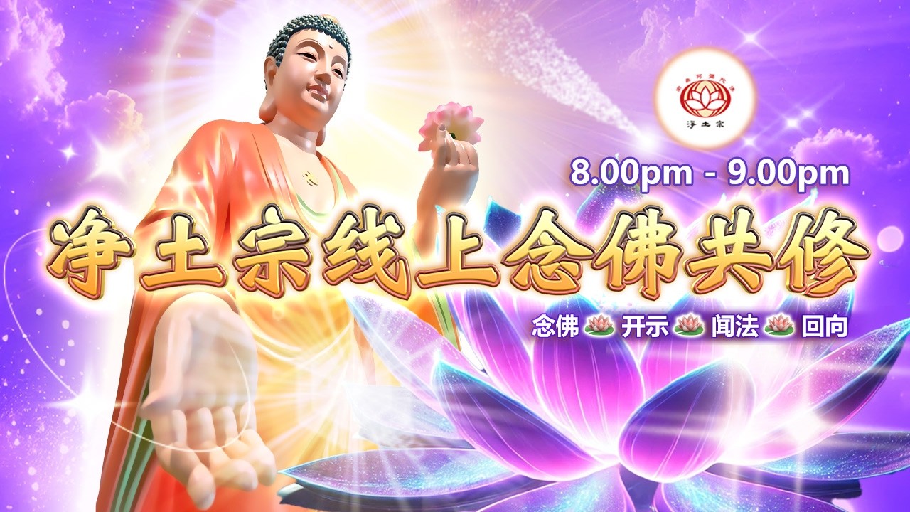 【同步】净土宗线上念佛共修暨法师开示【第2156天】+ 开示视频《年轻念佛》11-02-2026 Online Session（晚上8pm-9pm (GMT+8))【打开CC字幕】