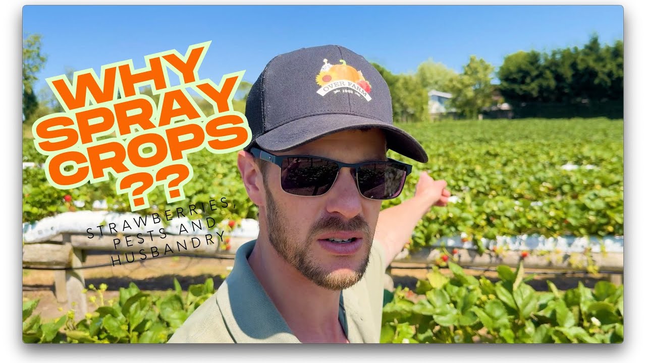 Do Farmers Spray Too Much? Here’s What We Actually Do