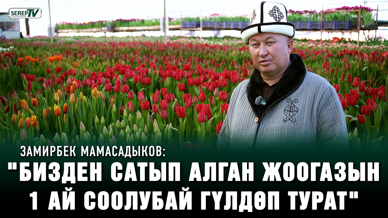 Гүл бизнесин кылган экс-депутат