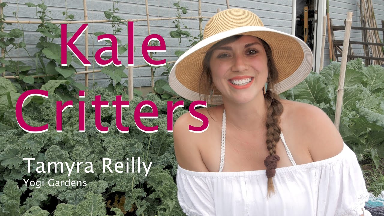 Keep Pests Off Kale For Good!