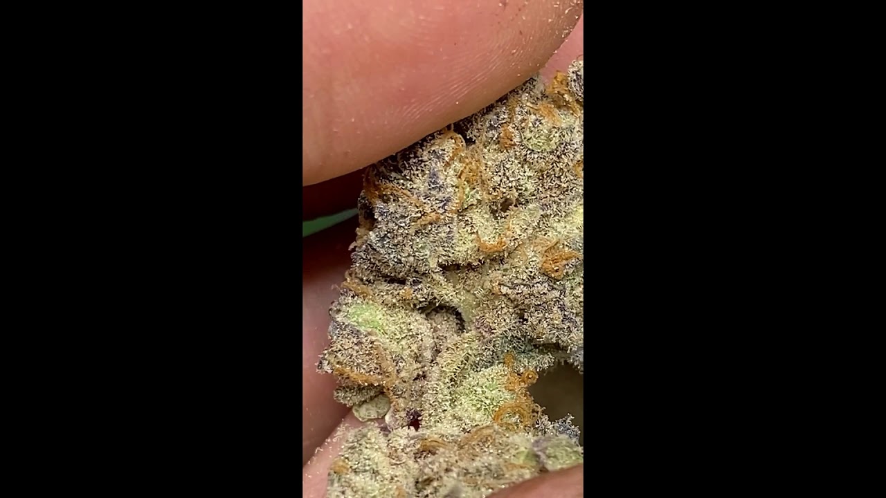 Terpel - inHouse Genetics |  Premium Cannabis