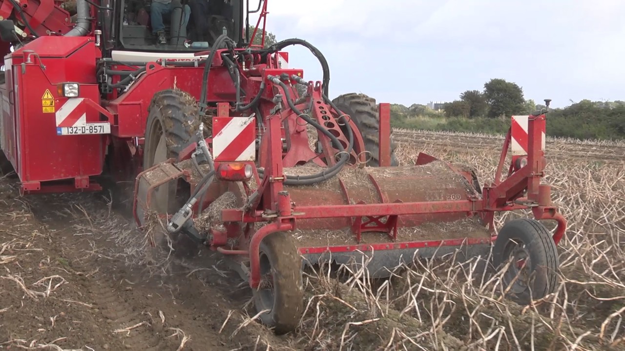 GRASSMEN - Country Crest Potato Harvest 2016