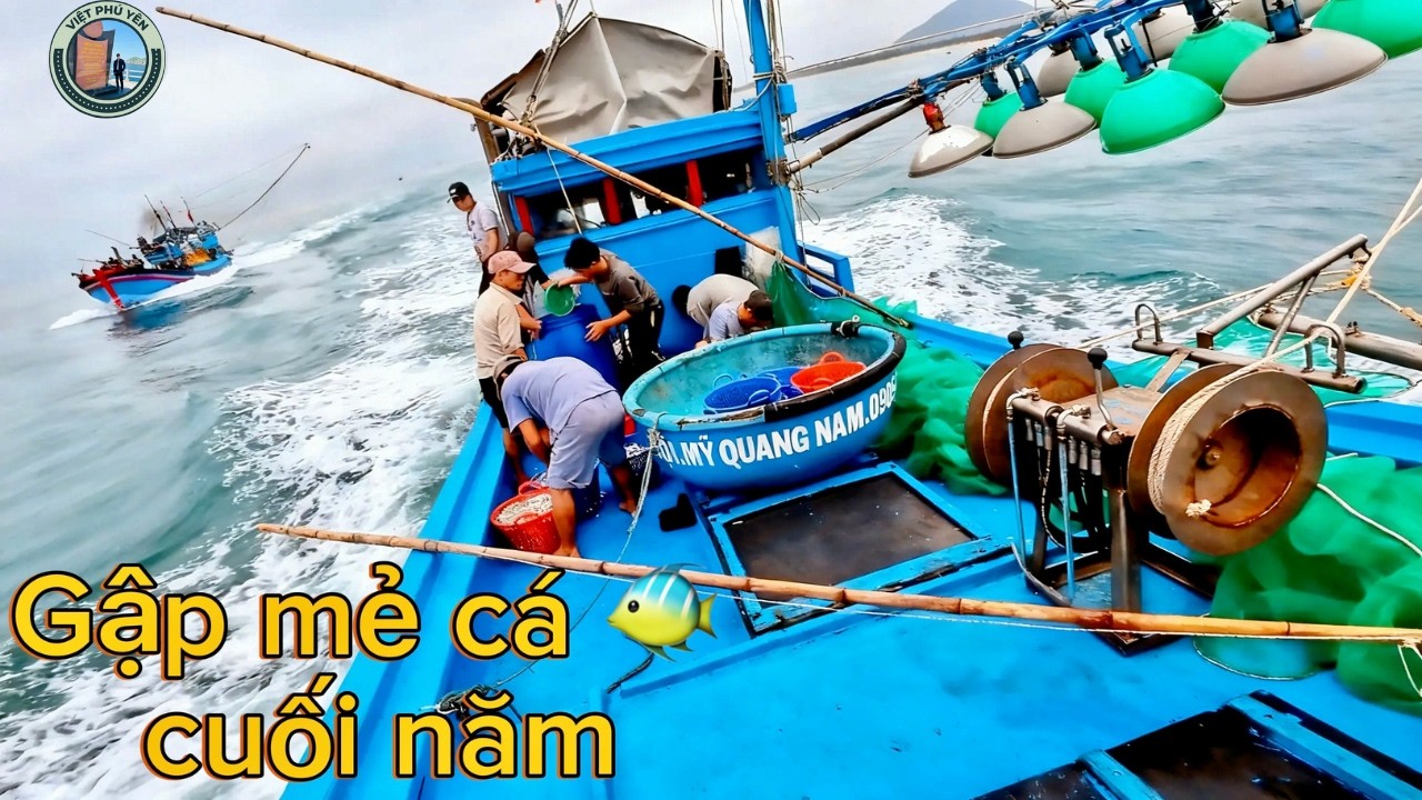 Mẻ cá cuối năm giữa biển động | có đủ tiền sắm Tết?