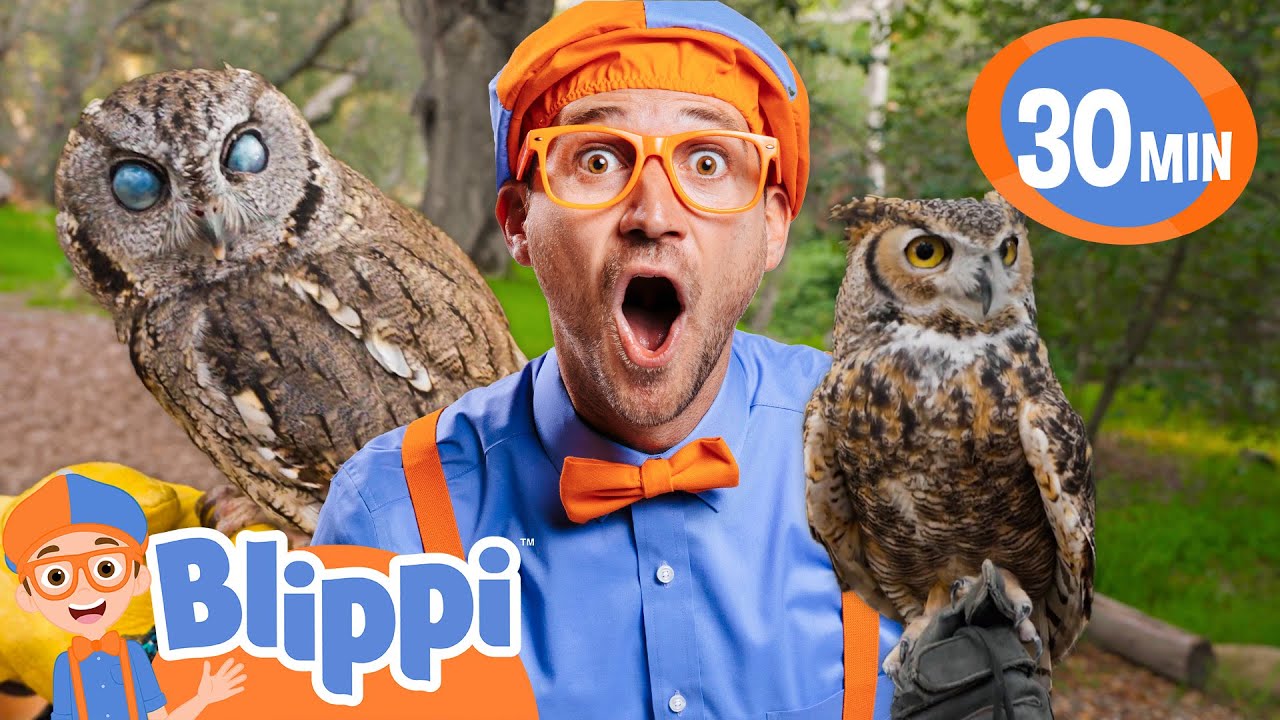 Blippi Meets Owl Friends! | BEST OF BLIPPI TOYS | Educational Videos for Kids