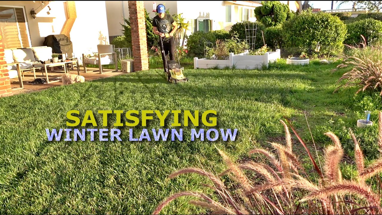 Satisfying Lawn Mow on a Warm California Winter Afternoon